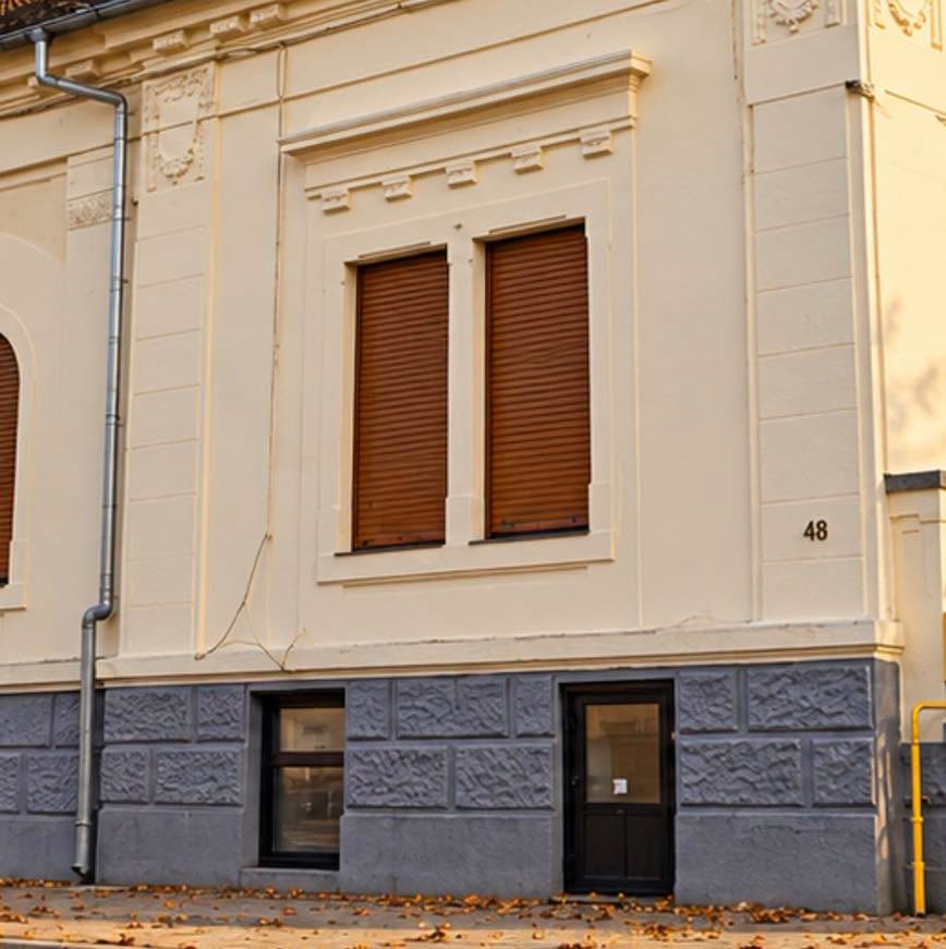 Casa de pe strada Gheorghe Doja nr. 48