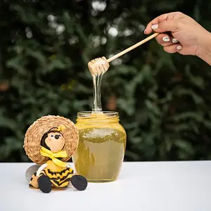 Ciobanu Iasmina și Mureșan Oana