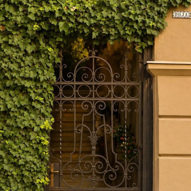 Casa Árpád Naschitz