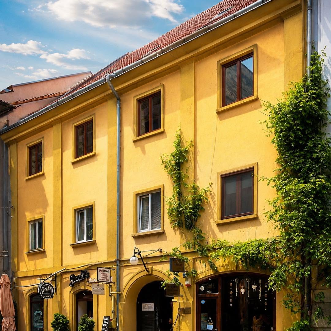 Casa Nedelkovich din Timișoara