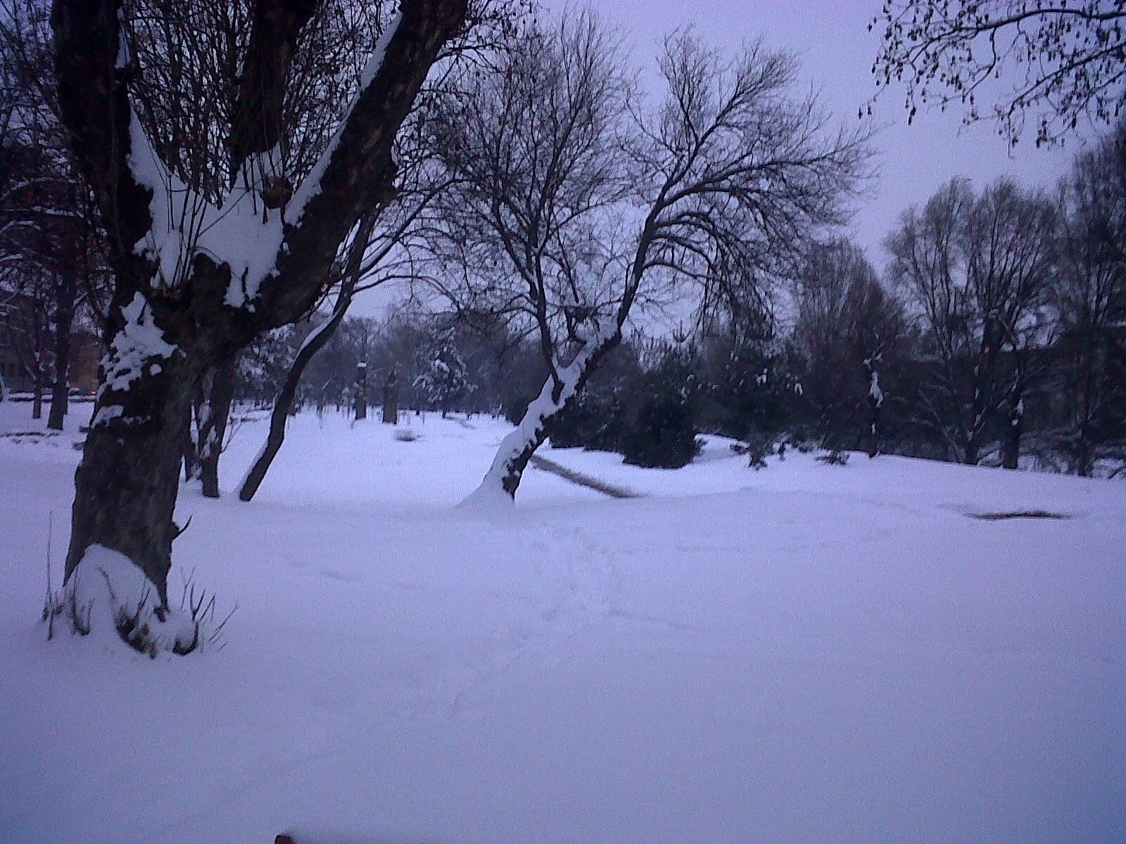 Parcul Andrei Mocioni