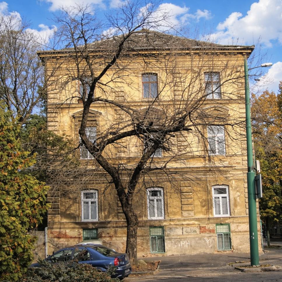 Prințul care a renunțat la coroană pentru iubire. Povestea care a început la Timișoara