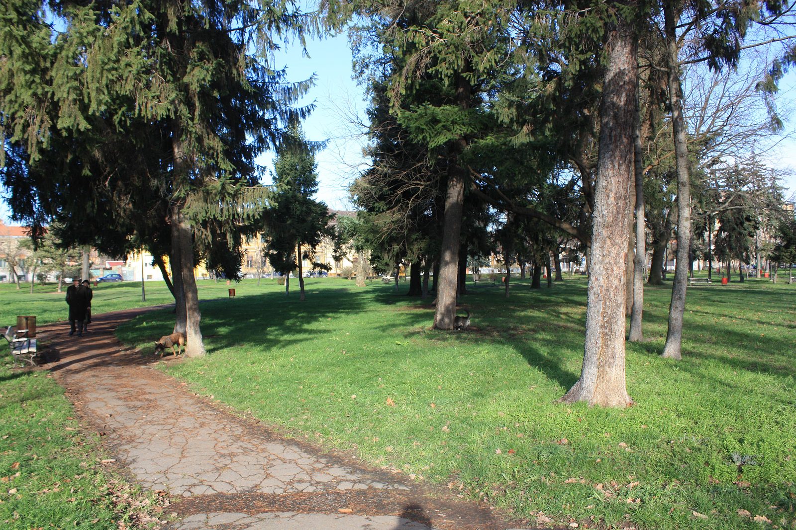 Parcul „Carmen Sylva”