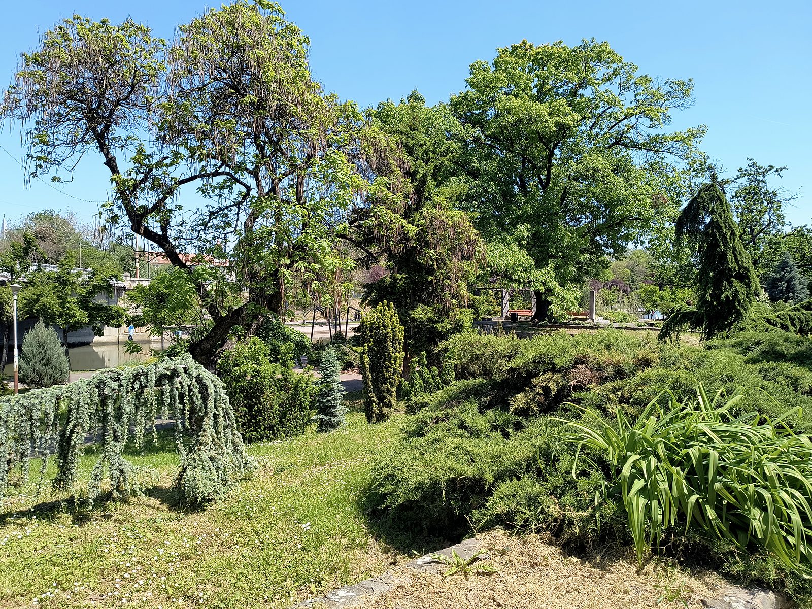 Parcul Alpinet