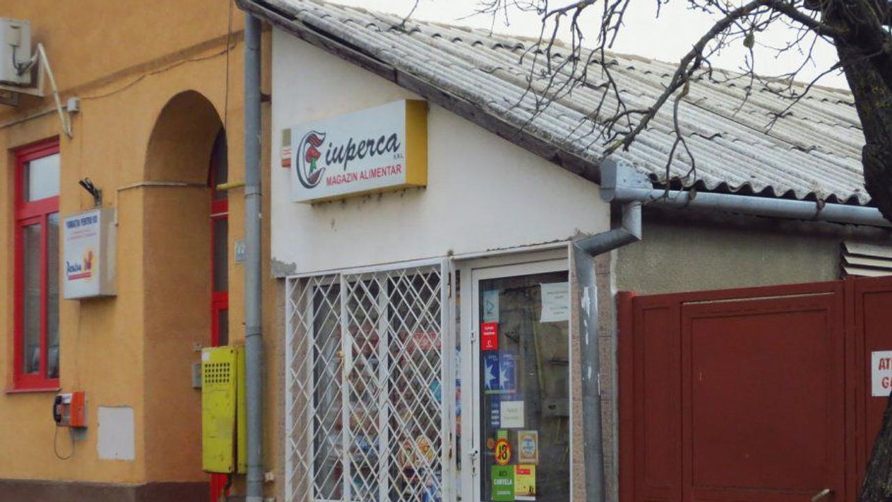 Magazinele “Ciuperca” – Alimentarele copilăriei din Timișoara