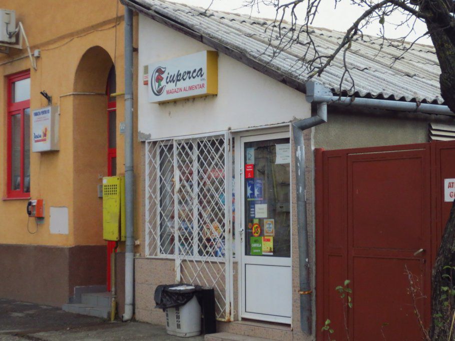 Magazinele “Ciuperca” – Alimentarele copilăriei din Timișoara