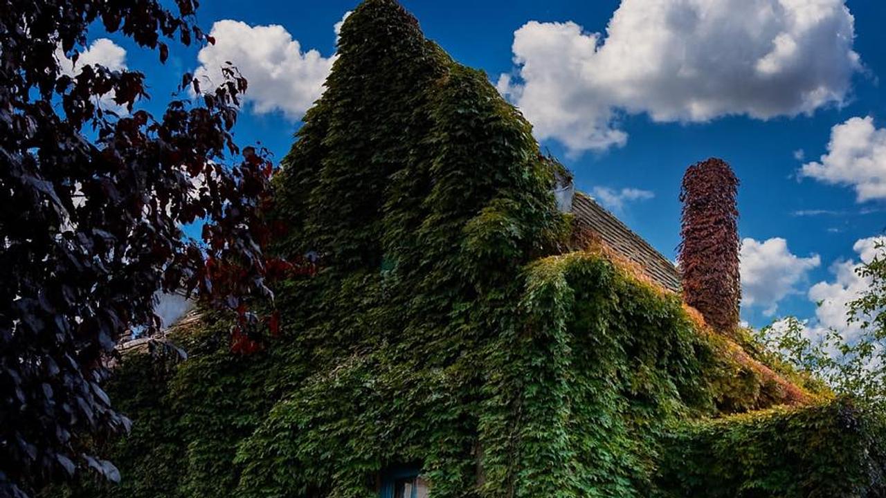 Casa cu Iederă