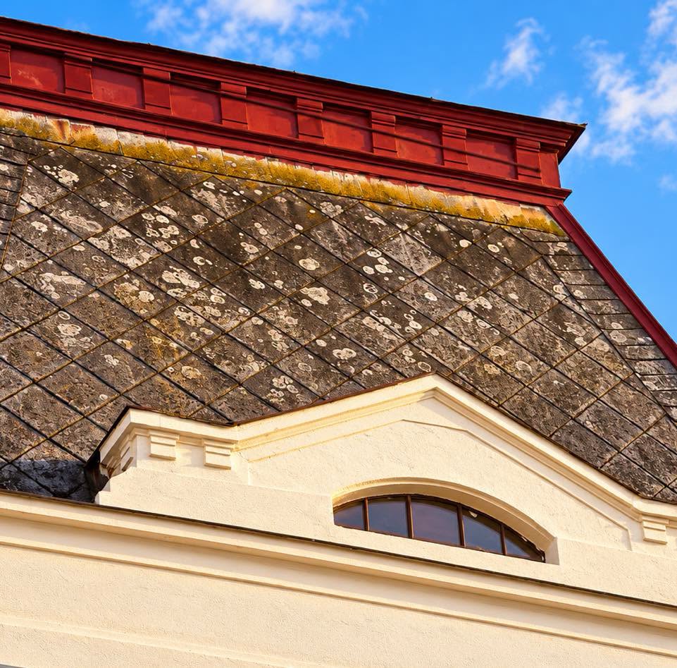 Casa de pe strada Gheorghe Doja nr. 48