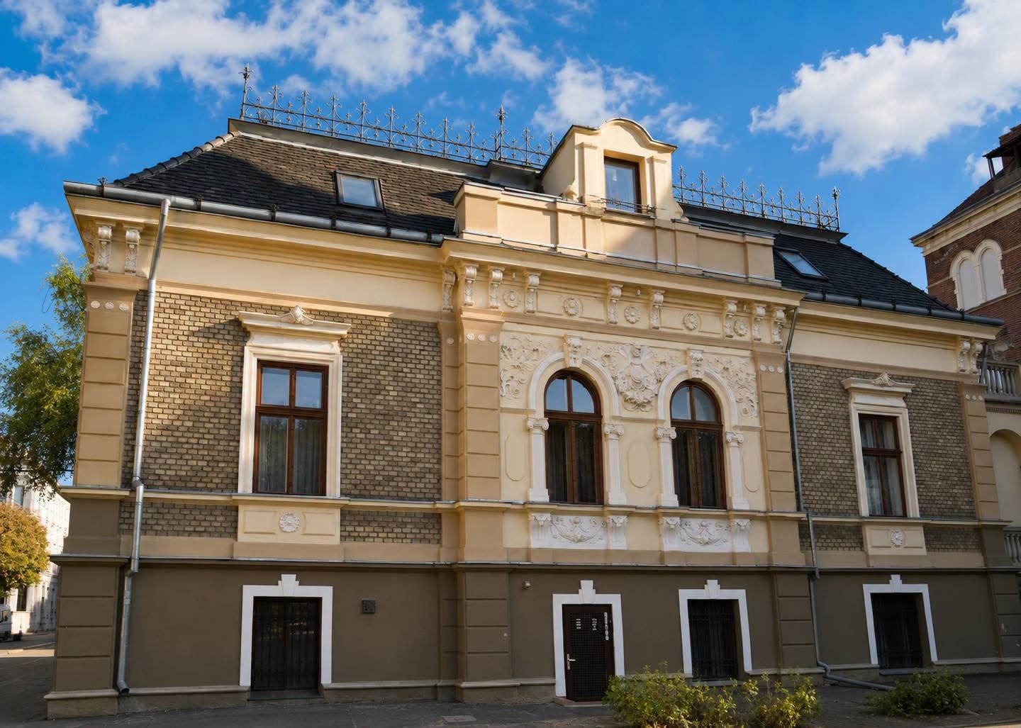 Casa Árpád Naschitz