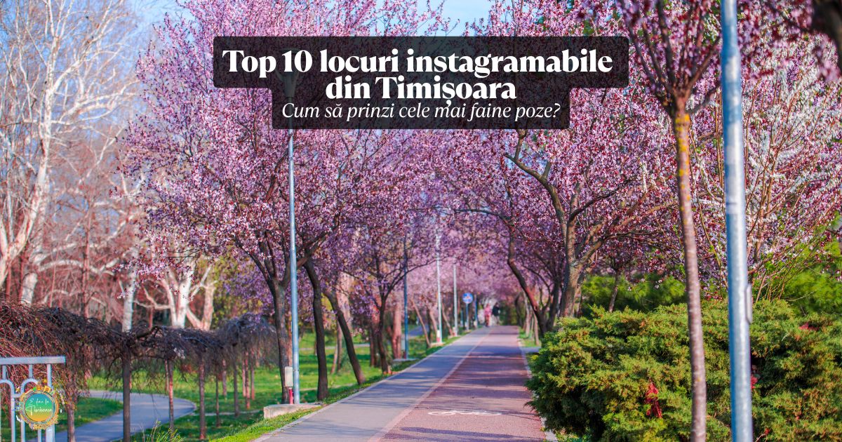 Top 10 locuri instagramabile din Timișoara – și cum să prinzi cele mai faine poze