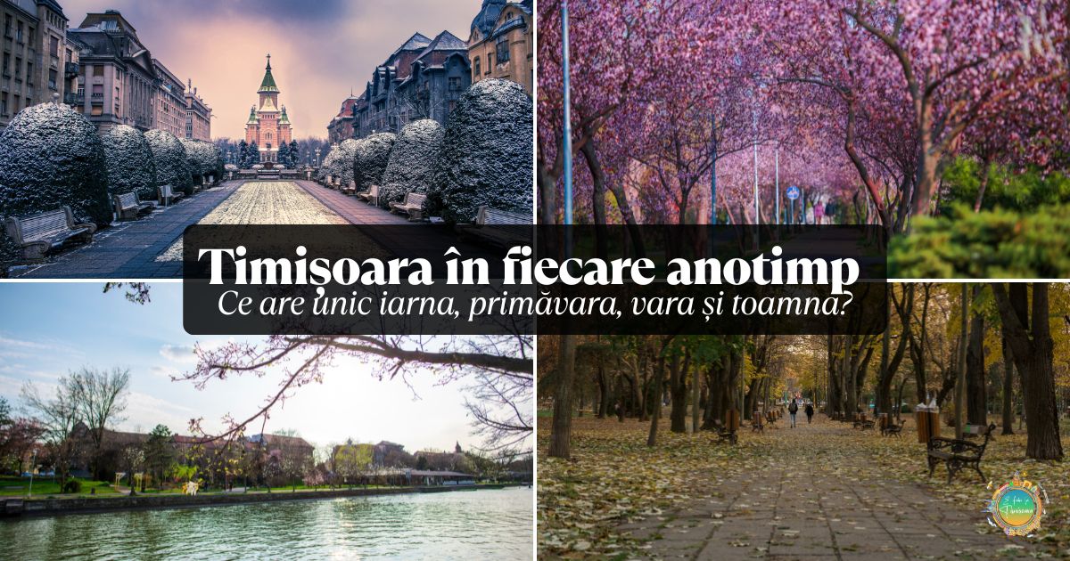 Timișoara în fiecare anotimp – ce are unic iarna, primăvara, vara și toamna