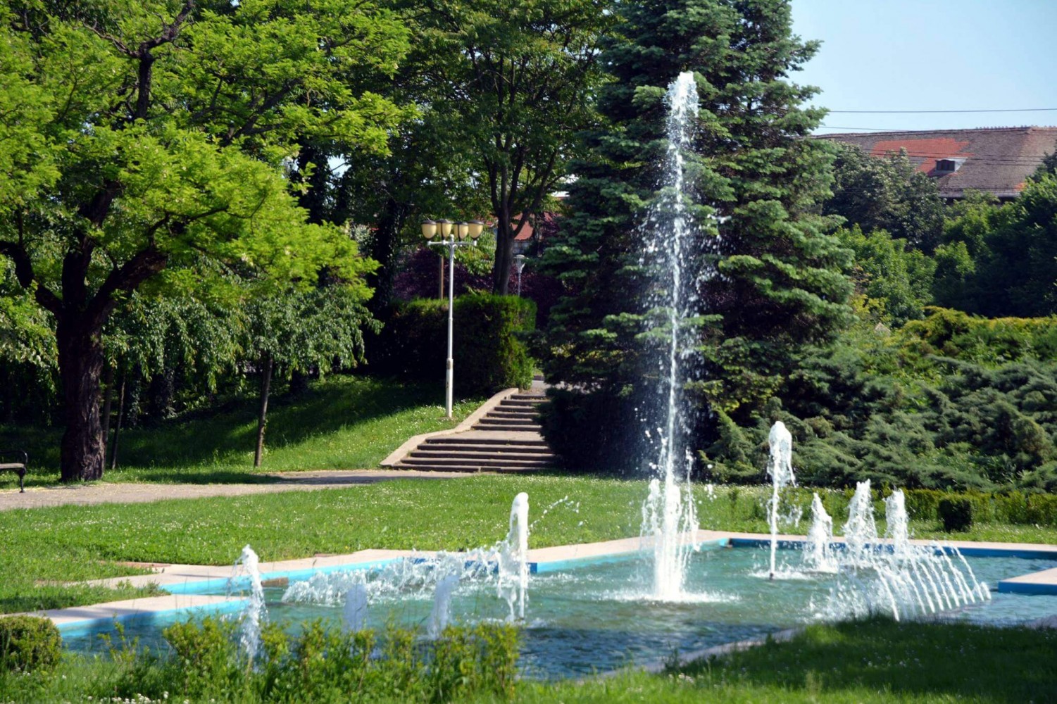 Povestea parcurilor din oraș: Parcul Rozelor, Parcul Central etc.