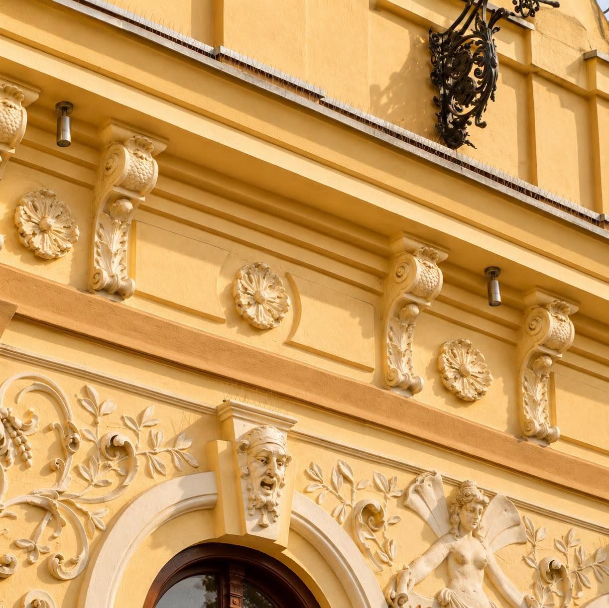 Casa Árpád Naschitz