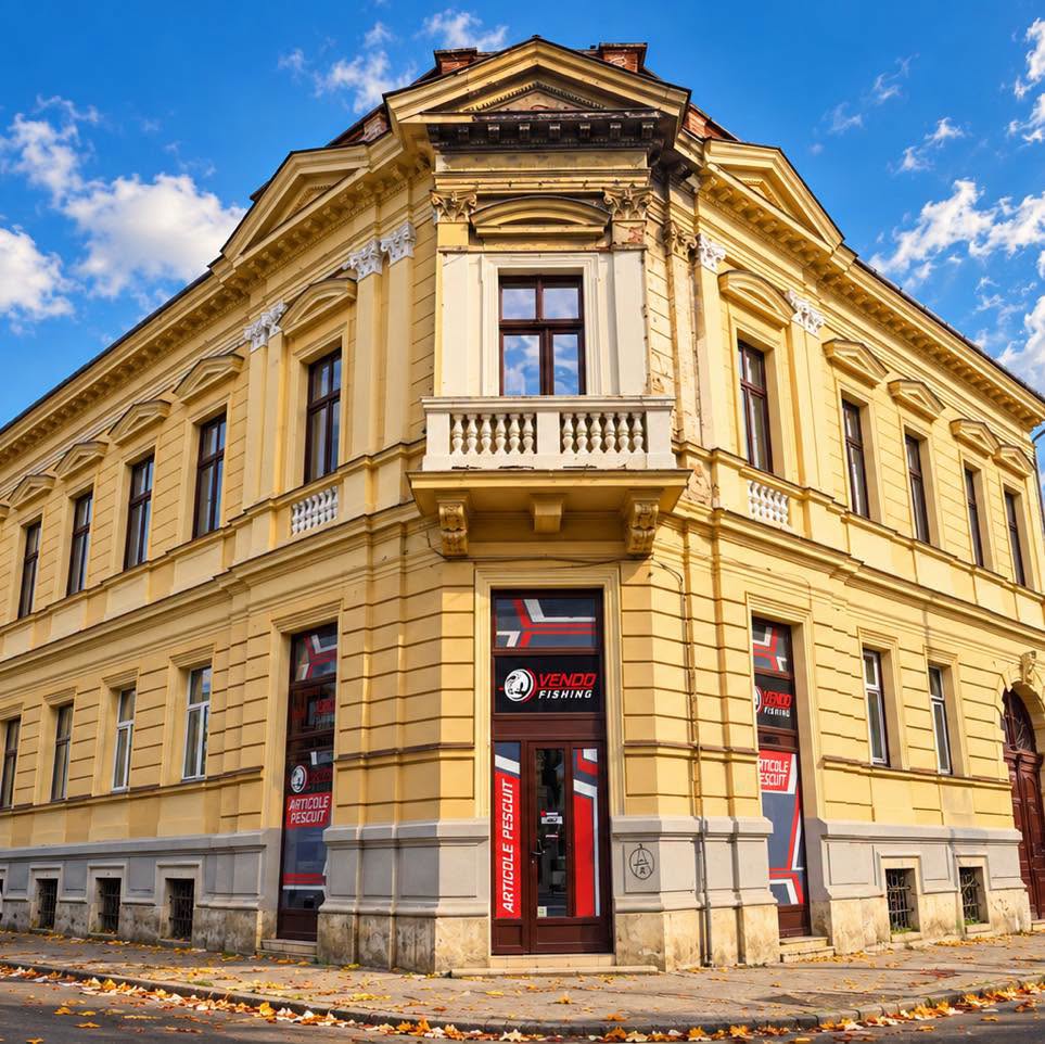 Casa de pe strada Ștefan cel Mare nr. 33