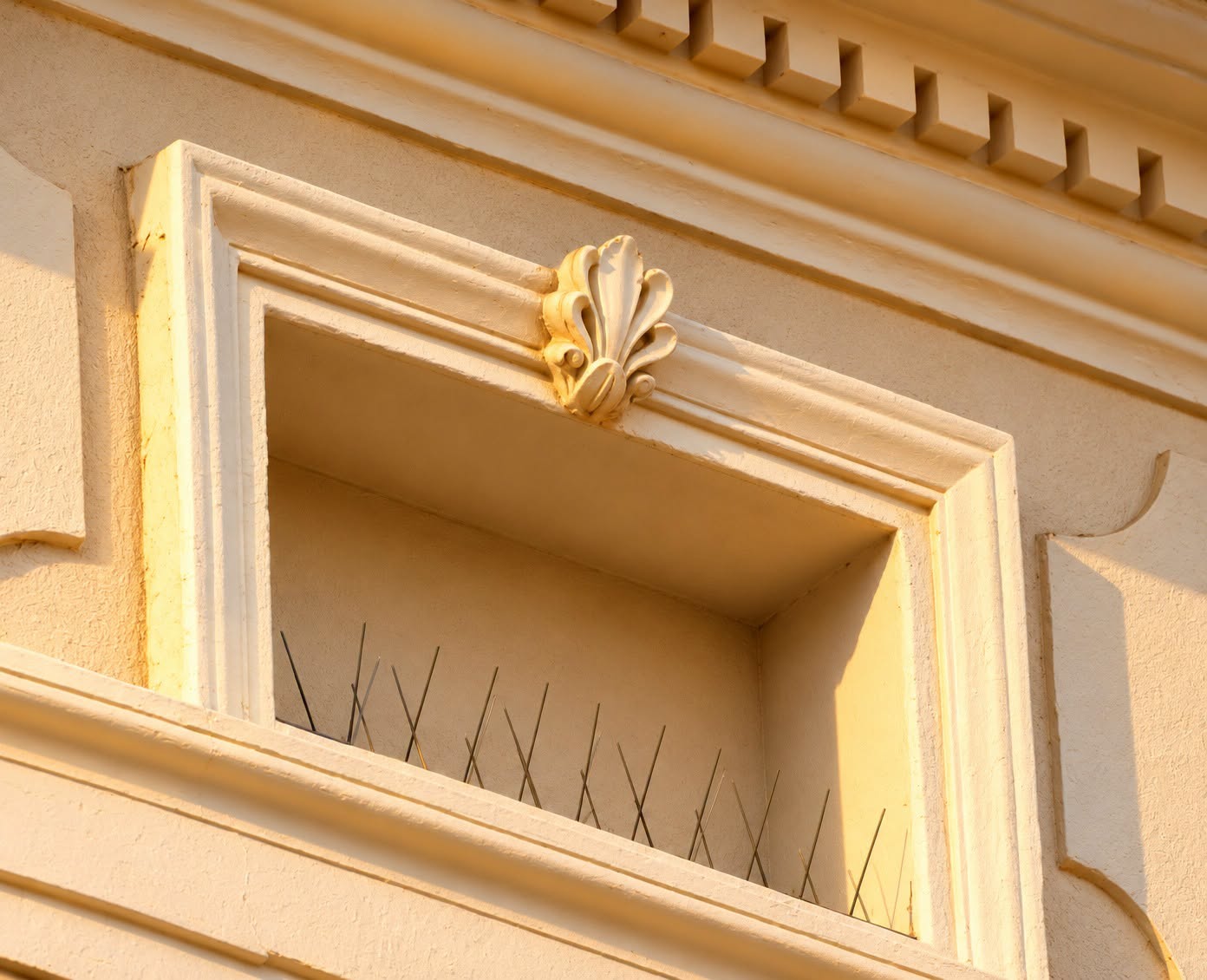 Casa de pe strada Gheorghe Doja nr. 56
