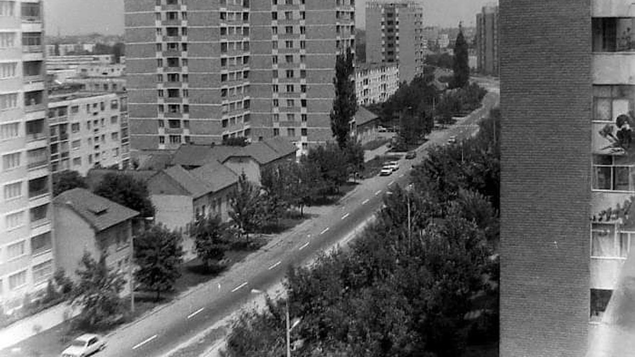 Calea Șagului, Timișoara – 1975